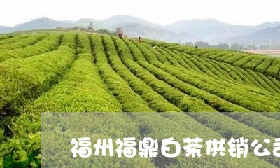 福州福鼎白茶供销公司地址/2023110930714