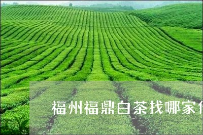 福州福鼎白茶找哪家代工/2023092131895