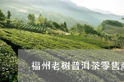福州老树普洱茶零售商/2023121871626