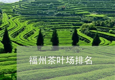 福州茶叶场排名/2023092295069