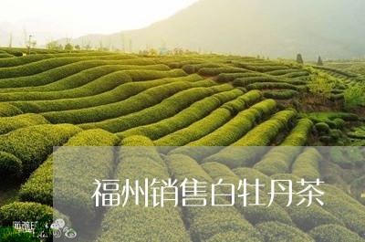 福州销售白牡丹茶/2023090688361