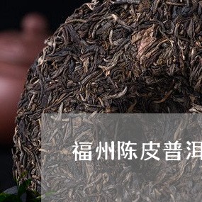 福州陈皮普洱茶价格多少/2023102483725