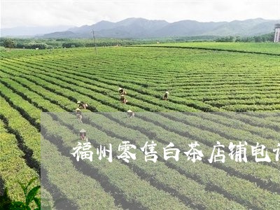 福州零售白茶店铺电话地址/2023110962824