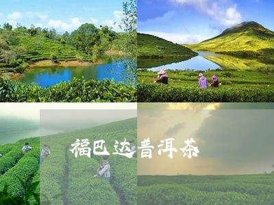 福巴达普洱茶/2023102594815