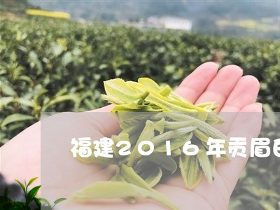 福建2016年贡眉白茶饼/2023062774848