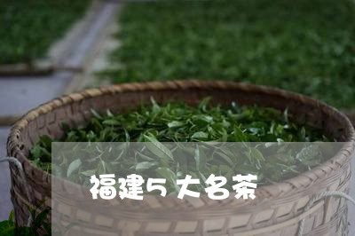 福建5大名茶/2023042949305