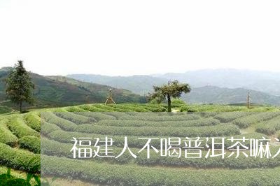 福建人不喝普洱茶嘛为啥/2023082778683