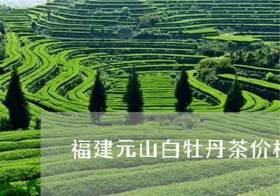 福建元山白牡丹茶价格/2023120970594