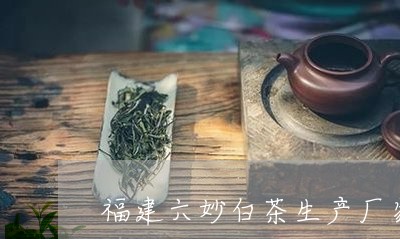 福建六妙白茶生产厂家/2023120850826