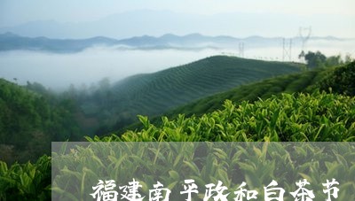 福建南平政和白茶节/2023120538492