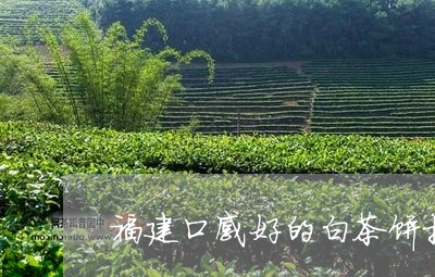 福建口感好的白茶饼推荐/2023092289502