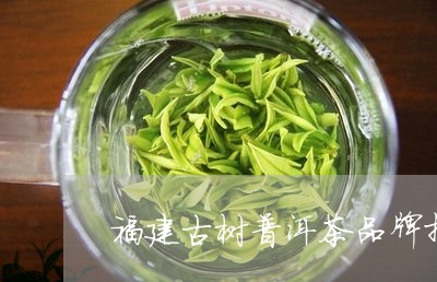 福建古树普洱茶品牌排行/2023112835845