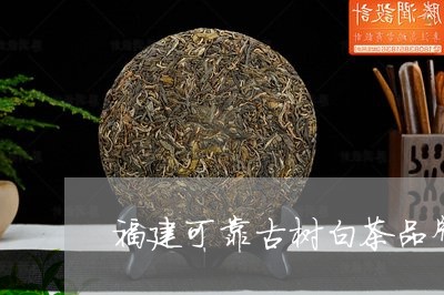 福建可靠古树白茶品牌排行/2023110918581