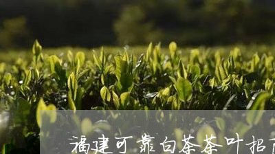 福建可靠白茶茶叶招商加盟/2023042661682