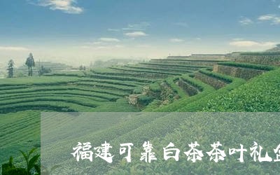 福建可靠白茶茶叶礼盒价格/2023042611625