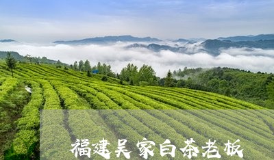 福建吴家白茶老板/2023082626081