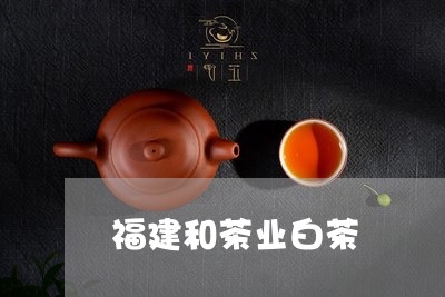 福建和茶业白茶/2023042570814