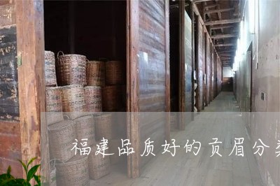 福建品质好的贡眉分类/2023092167262