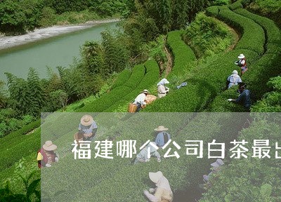 福建哪个公司白茶最出名/2023110297248