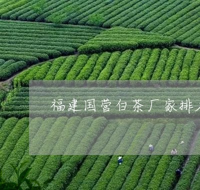 福建国营白茶厂家排名第一/2023042615038