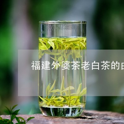 福建外婆茶老白茶的由来/2023092251613