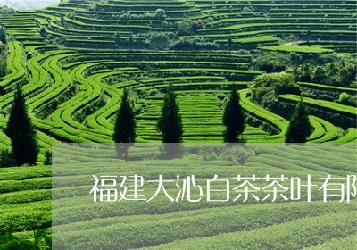 福建大沁白茶茶叶有限公司/2023110963747