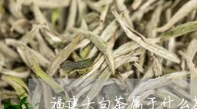 福建大白茶属于什么茶类别的茶/2023062877150