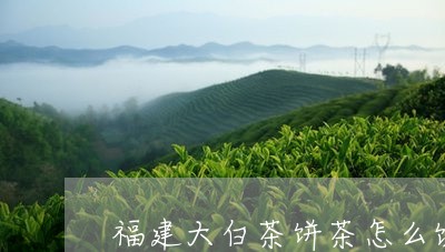 福建大白茶饼茶怎么饮用/2023092225160