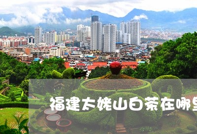 福建太姥山白茶在哪里/2023092085837