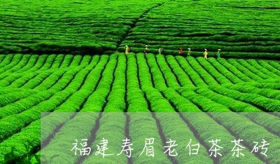 福建寿眉老白茶茶砖/2023120527250