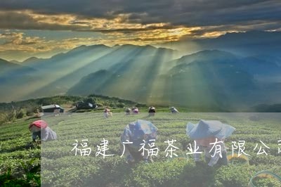 福建广福茶业有限公司白茶/2023110928369