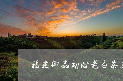 福建御品初心老白茶怎么样/2023042553794