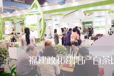 福建政和建阳产白茶比例/2023092245360