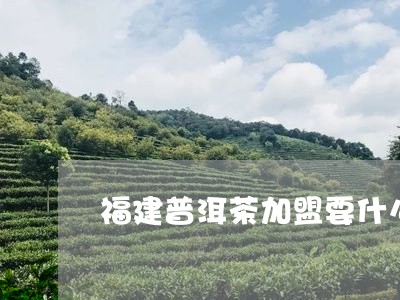 福建普洱茶加盟要什么条件/2023051351692