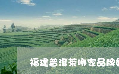 福建普洱茶哪家品牌好喝/2023112804179