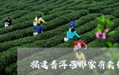 福建普洱茶哪家有卖得好/2023102405058