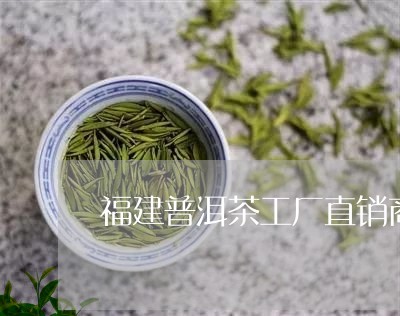 福建普洱茶工厂直销商/2023083142637