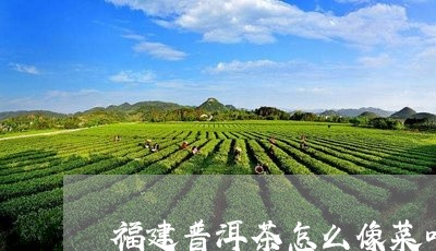 福建普洱茶怎么像菜叶/2023080227461