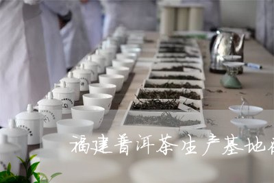 福建普洱茶生产基地在那里/2023121863927
