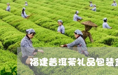 福建普洱茶礼品包装盒/2023072458350