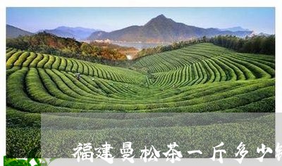 福建曼松茶一斤多少钱/2023071488696