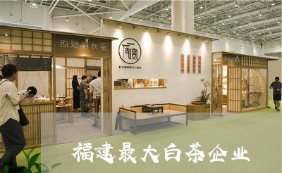 福建最大白茶企业/2023070764041