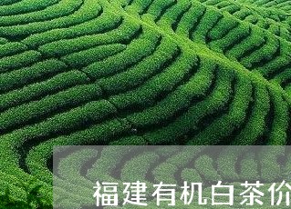 福建有机白茶价格/2023090560615