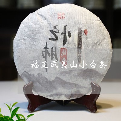 福建武夷山小白茶/2023090503159