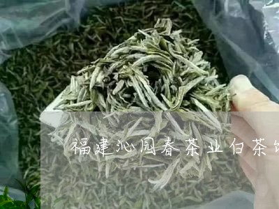 福建沁园春茶业白茶饼/2023092084048