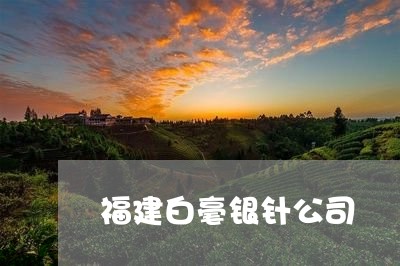 福建白毫银针公司/2023070719382