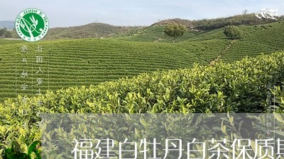 福建白牡丹白茶保质期限/2023092228370