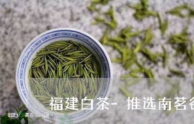 福建白茶-推选南茗谷/2023092092828