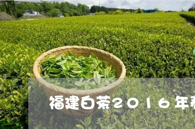 福建白茶2016年寿眉价格多少/2023062860505