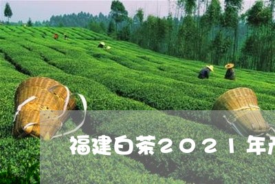 福建白茶2021年产量/2023092293949